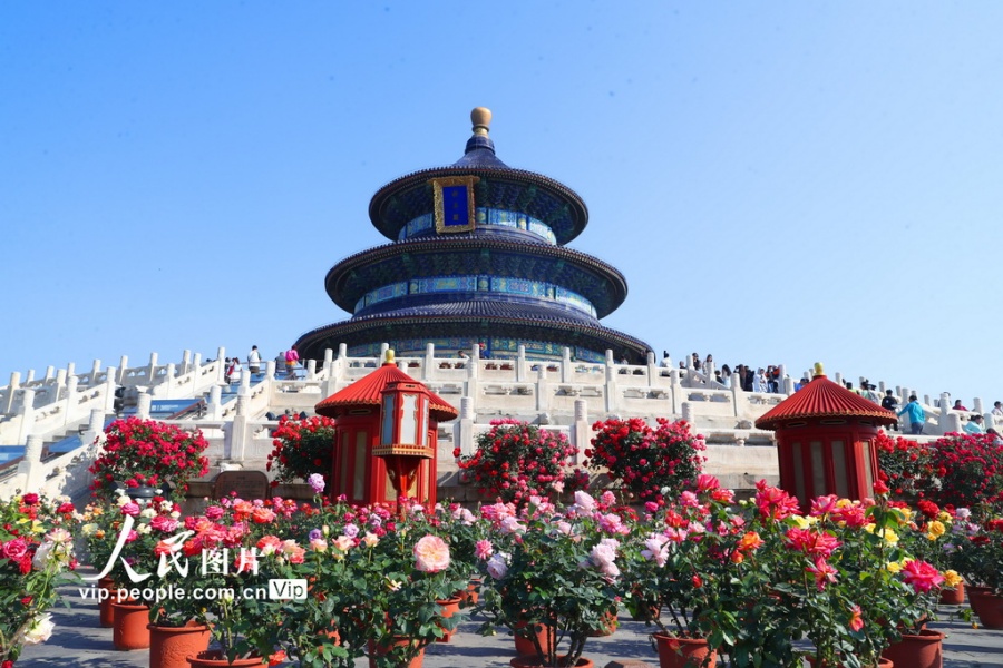 c75ad30d290c282e75dd6af3e77524b7 c75ad30d290c282e75dd6af3e77524b7